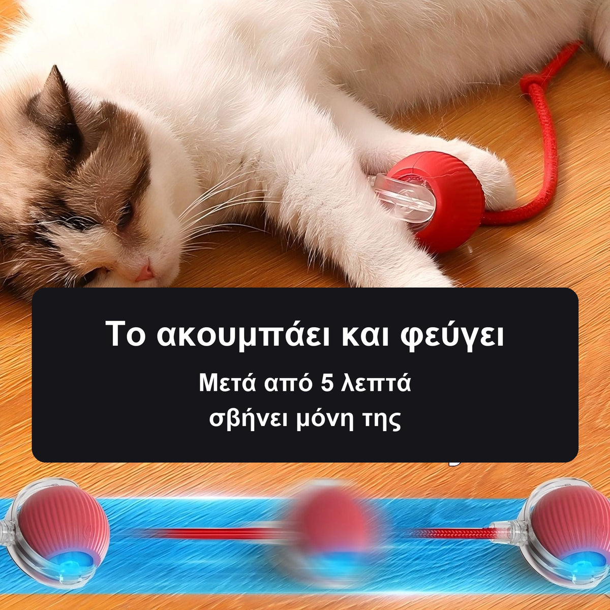 Διαδραστική μπάλα για γάτες με σχοινάκι